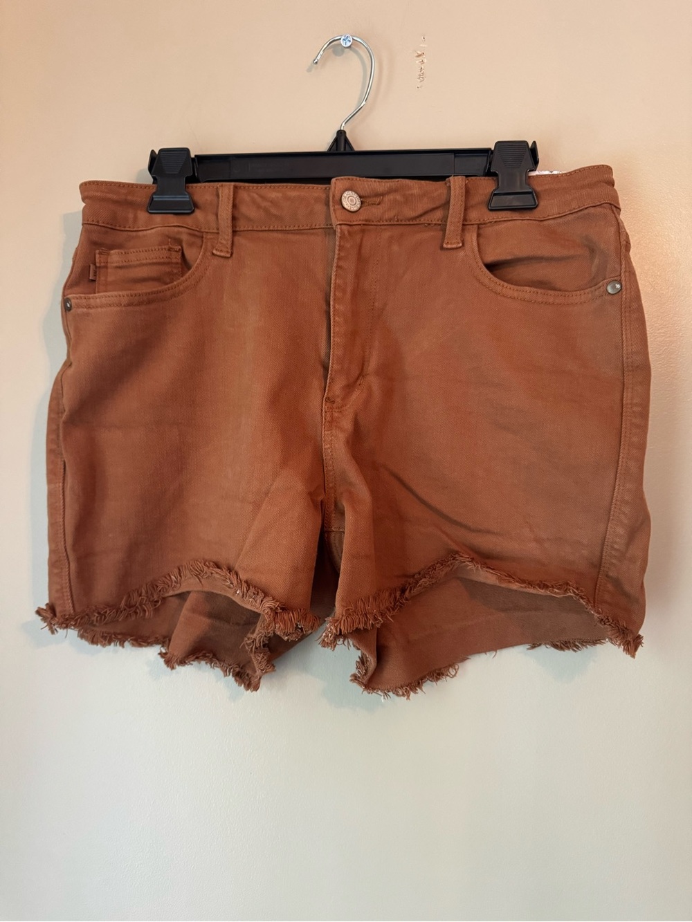 Judy Blue Rust-Tone Frayed Hem Denim Shorts
